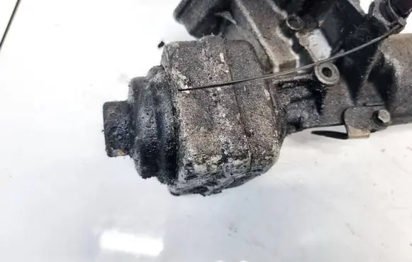 Volkswagen Golf IV Engine oil radiator 