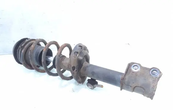 Opel Meriva A Front shock absorber with coil spring 