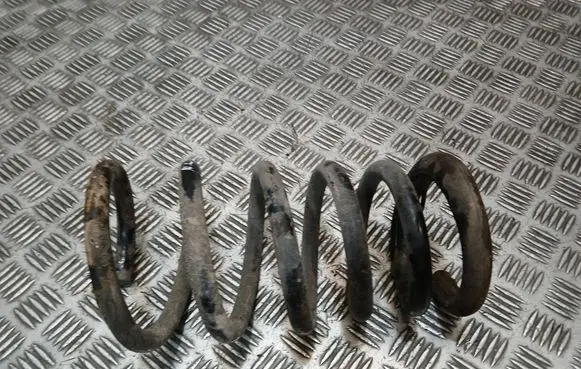 Rear coil spring