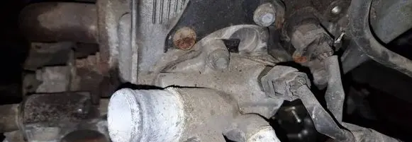 Nissan Murano Z50 Engine coolant pipe/hose