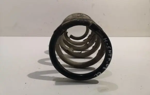 Hyundai Santa Fe Rear coil spring