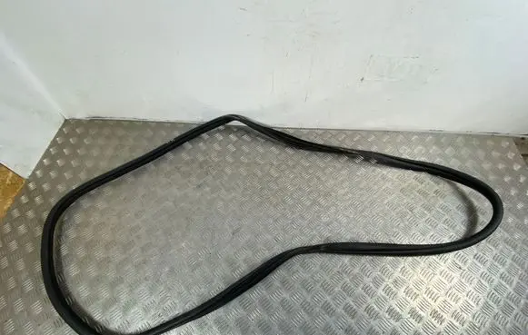 Renault Arkana Rear door rubber seal (on body) 