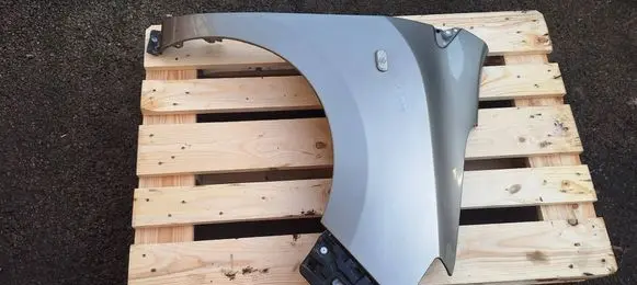 Dacia Lodgy Fender