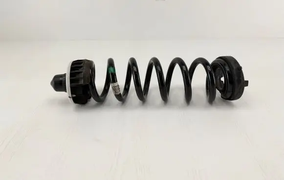 BMW 2 G42 Rear coil spring 13195050 33536890983 33506875394