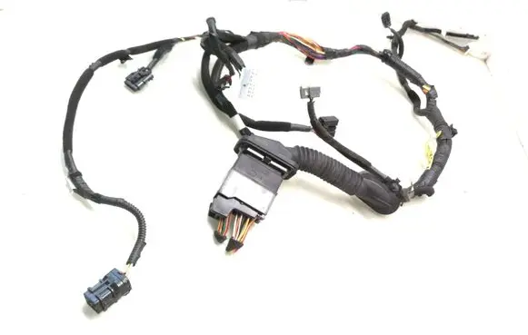 Front door wiring loom