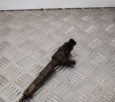 Opel Insignia A Fuel injector