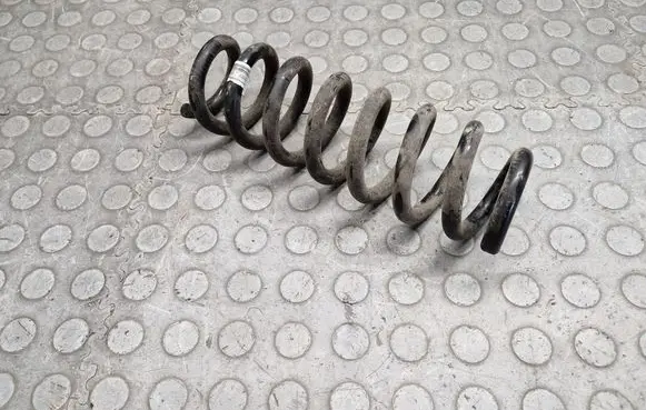 Rear coil spring