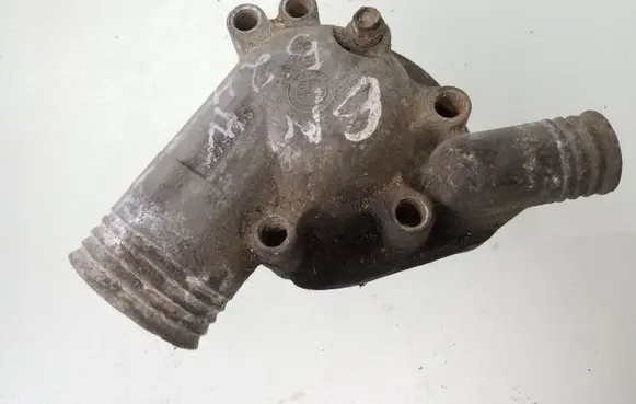 Thermostat/thermostat housing