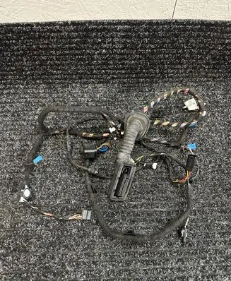 BMW X2 F39 Front door wiring loom 9221028 1823513 1823515