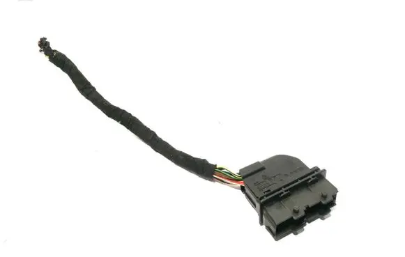 Front door wiring loom