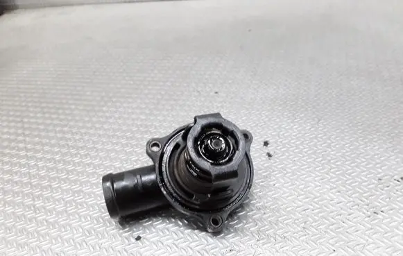 Thermostat/thermostat housing