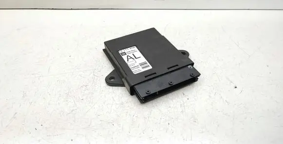 Opel Signum Door central lock control unit/module 13111456