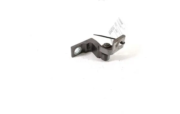 Rear door lower hinge