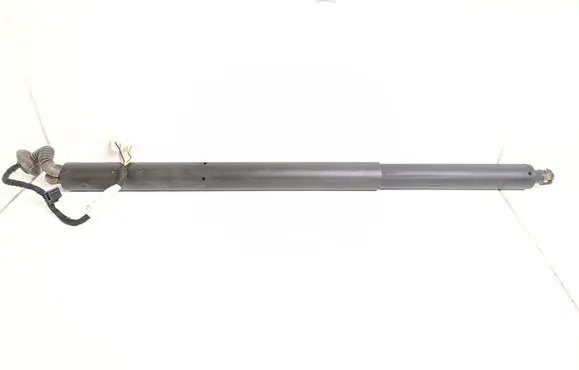 Tailgate strut