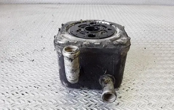 Oil filter mounting bracket