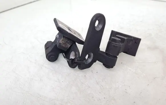 BMW 7 G11 G12 Front door hinge set 7496186