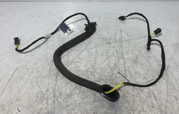 Rear door wiring loom