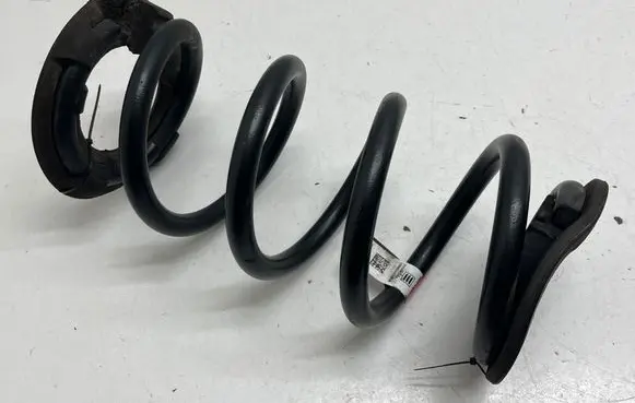 Tesla Model 3 Rear coil spring 104447201E BD221272987390