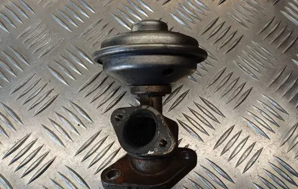 EGR valve