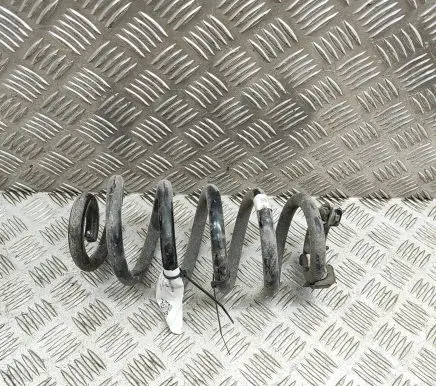 Skoda Enyaq iV Rear coil spring 1EA511103E