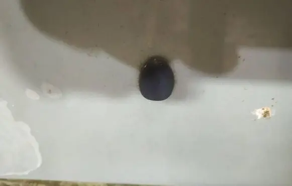 Windshield washer spray nozzle