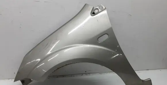 Ford Fiesta Fender