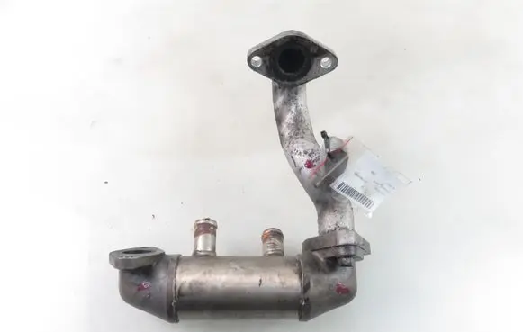 Hyundai H-1, Starex, Satellite EGR valve cooler 