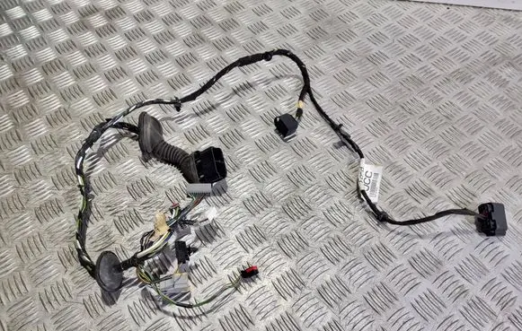 Ford Galaxy Front door wiring loom BG9T14K138 12470619000