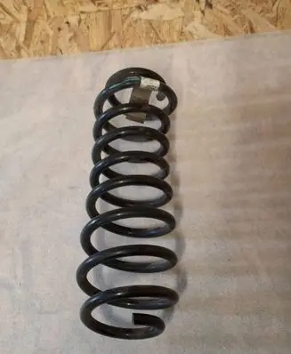 Ford Mustang V Rear coil spring AR335560DB