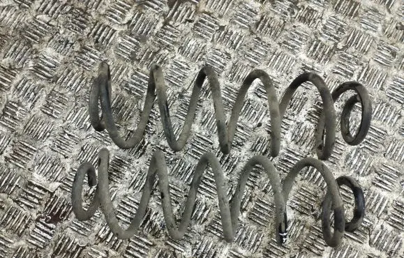 Rear coil spring