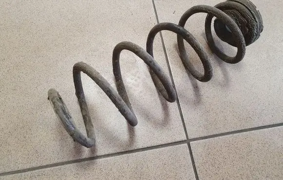 Rear coil spring
