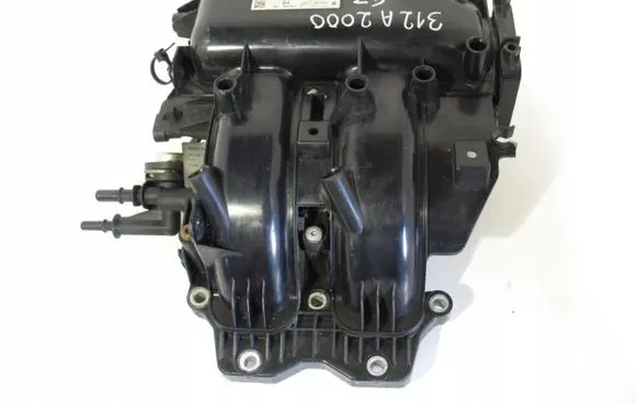Fiat 500 Abarth Intake manifold Array