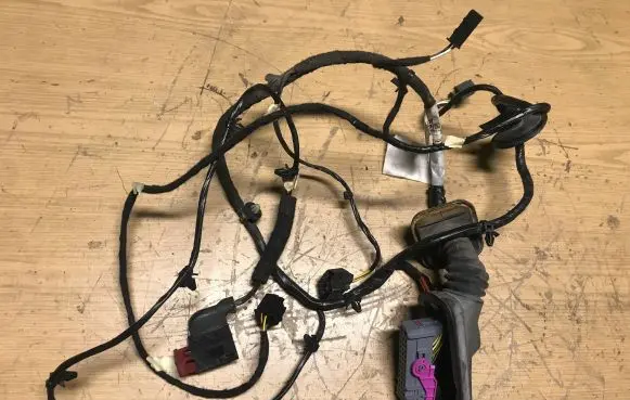 Front door wiring loom