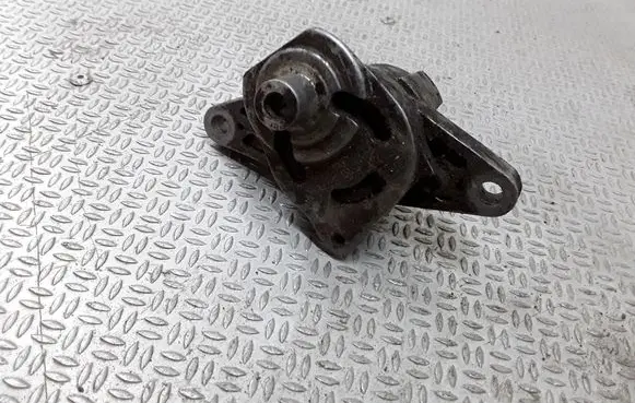 Peugeot 206 Generator/alternator belt tensioner 9638976580