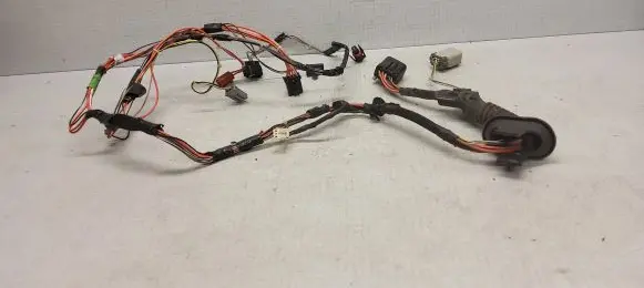 Chrysler Voyager Front door wiring loom 04868610AA