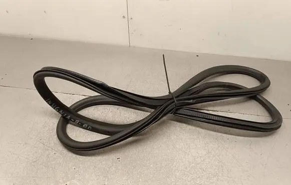 Opel Insignia B Front door rubber seal 