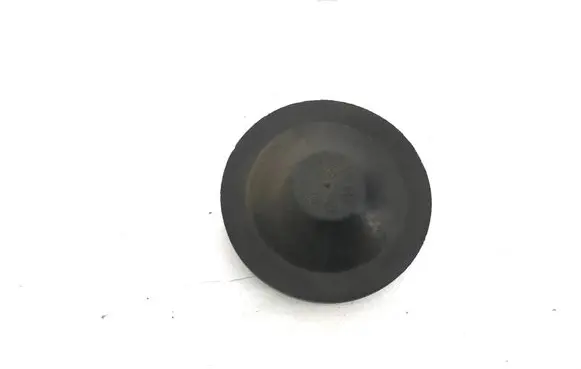 Skoda Superb B8 (3V) Headlight/headlamp dust cover 160184