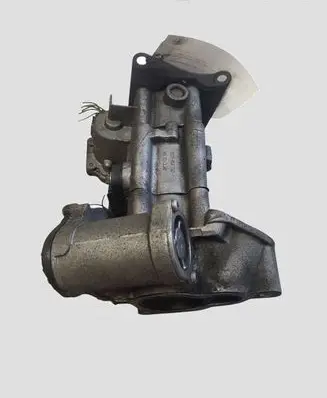 Nissan Qashqai+2 Throttle valve 8200987453