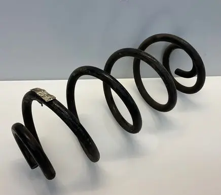 Rear coil spring