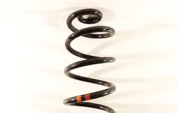 Nissan Qashqai Rear coil spring