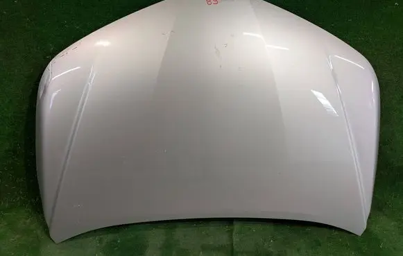 Engine bonnet/hood