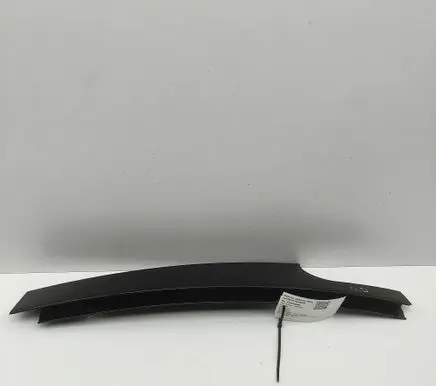 BMW X6 G06 Rear door glass trim molding 7453850
