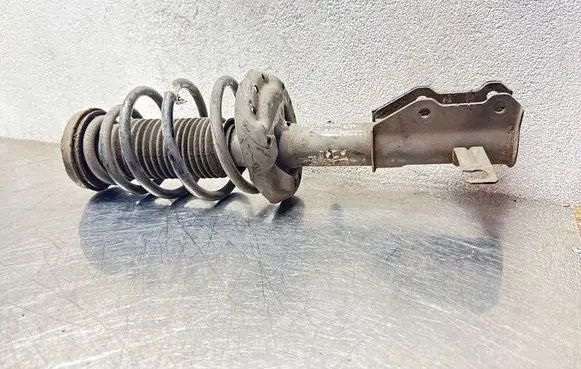 Opel Insignia A Front shock absorber with coil spring 13245966 61270 367327926