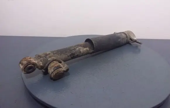 Opel Insignia A Rear shock absorber/damper 13319753