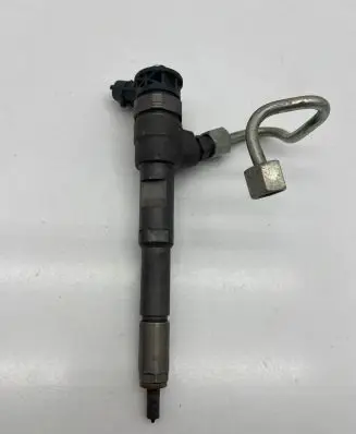 Renault Kangoo II Fuel injector 0445110485 41816 9508