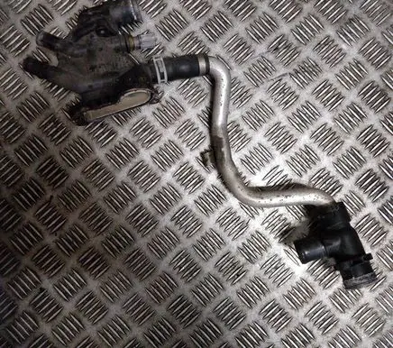 Thermostat/thermostat housing