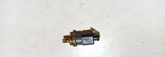 Volkswagen Jetta V Coolant temperature sensor 06a919501a