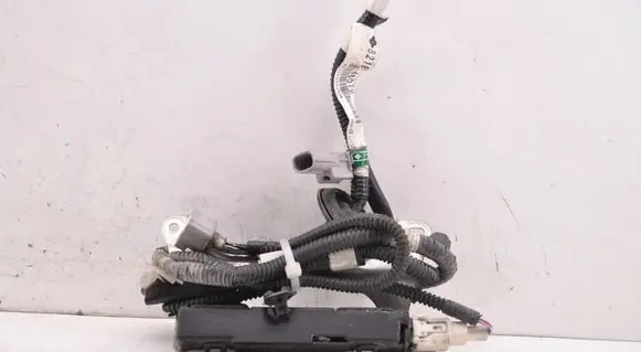 Lexus RX 450H Other wiring loom 8218148070