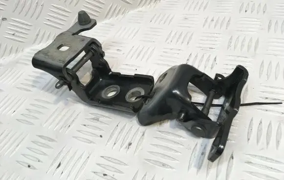 Peugeot 308 Rear door hinge set 