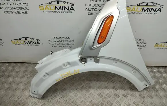 Mini Cooper Countryman R60 Fender 2641P13H13